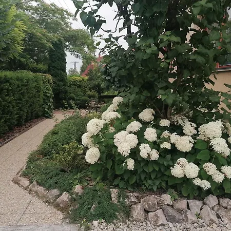 Marianna * Gyenesdiás