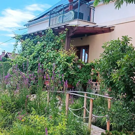 アパート Marianna