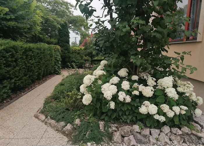 Marianna * Gyenesdiás